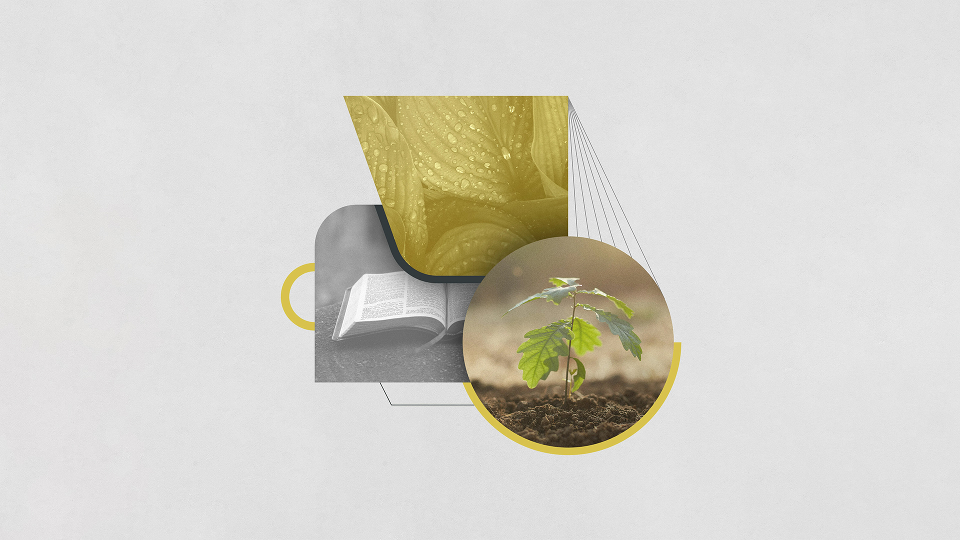 A CIMIENTOS DEL DISCIPULADO CRISTIANO THUMBNAILS