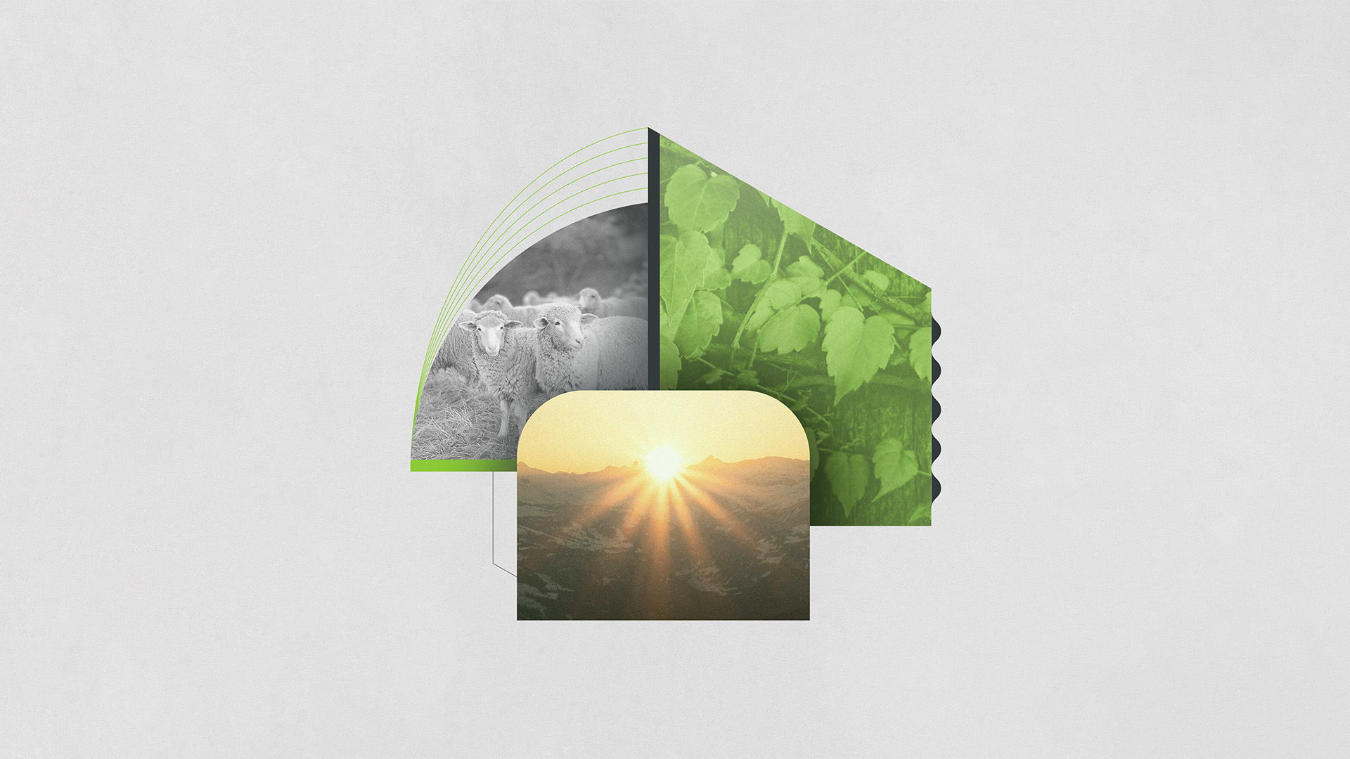 LOS YO SOY DE JESÚS