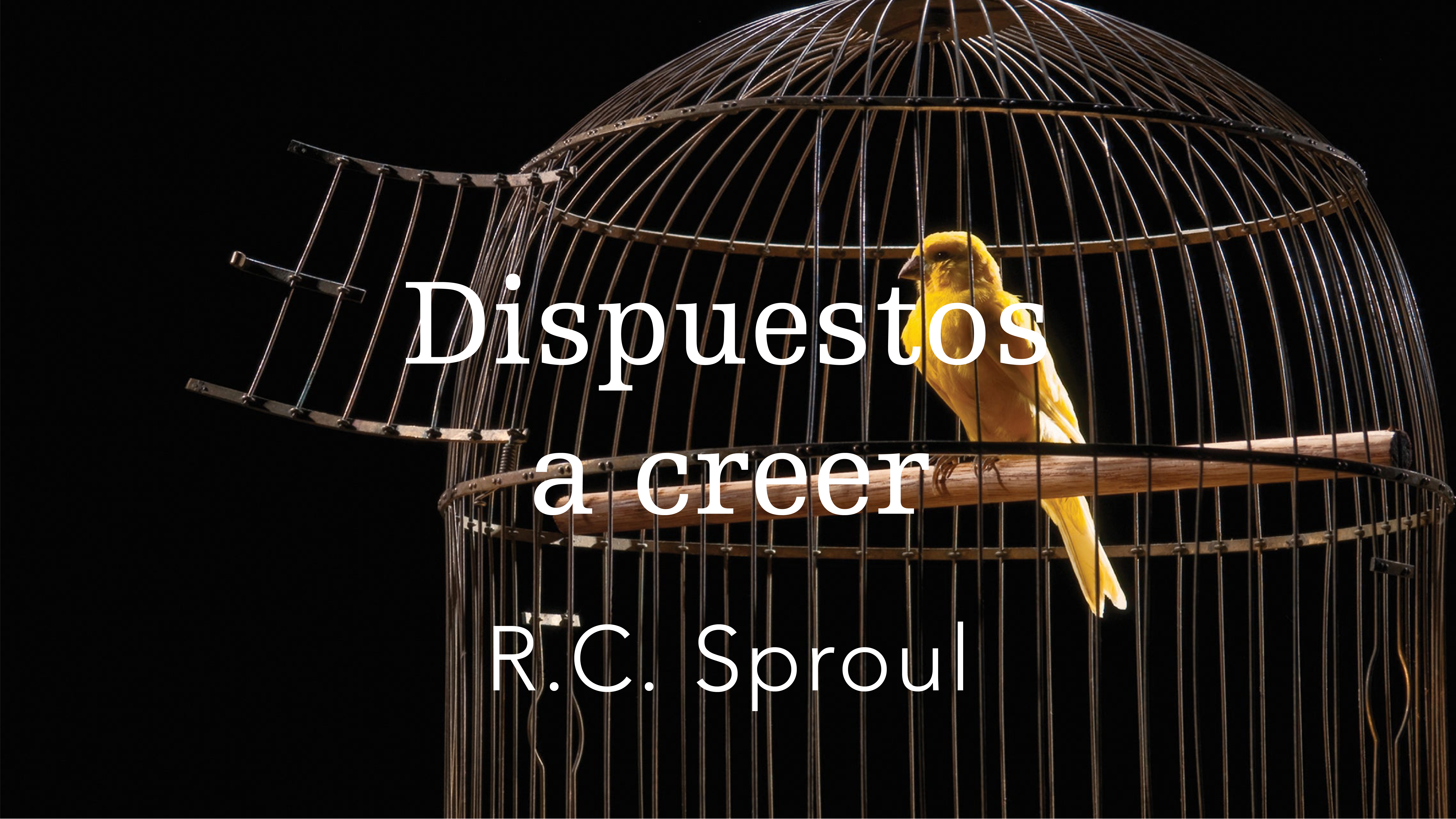 DISPUESTOS A CREER