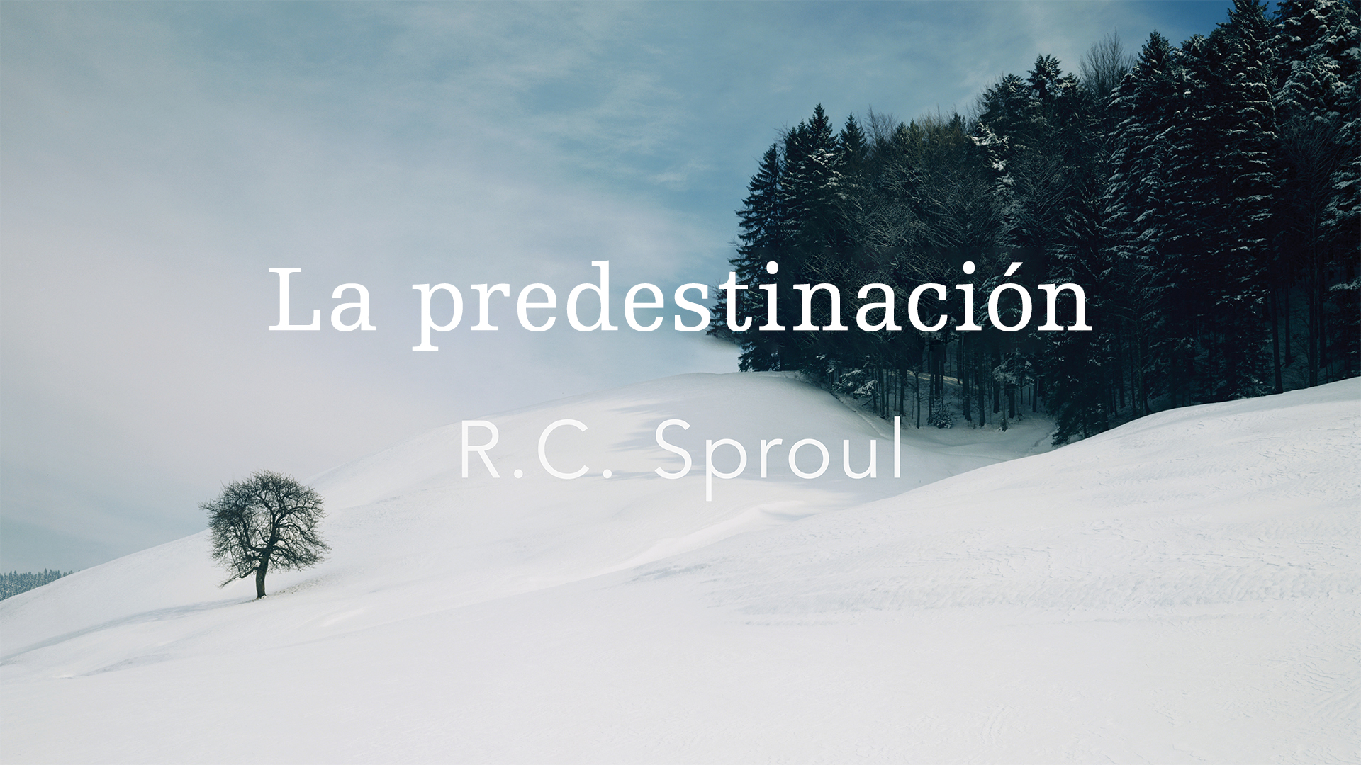 ALTA PREDESTINACIÓN